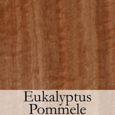 Eukalyptus Pommele