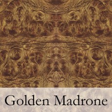 Golden Madrone