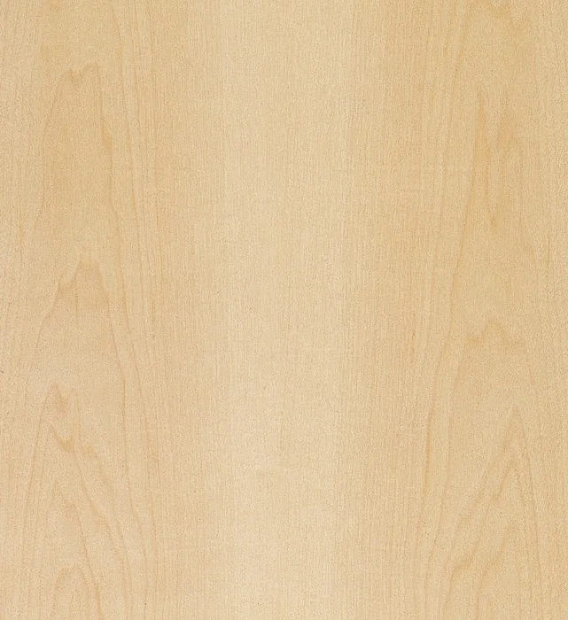 Hard Maple